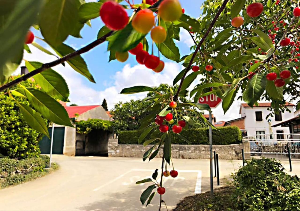 Ferienwohnung App Milija Rovinj Exterior foto