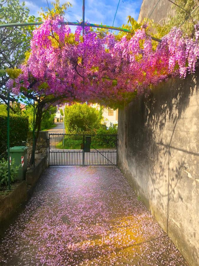 Ferienwohnung App Milija Rovinj Exterior foto