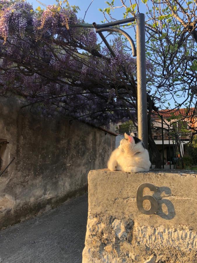 Ferienwohnung App Milija Rovinj Exterior foto