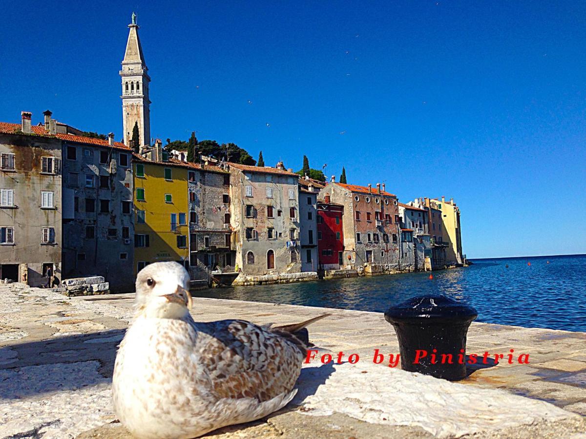 Ferienwohnung App Milija Rovinj Exterior foto