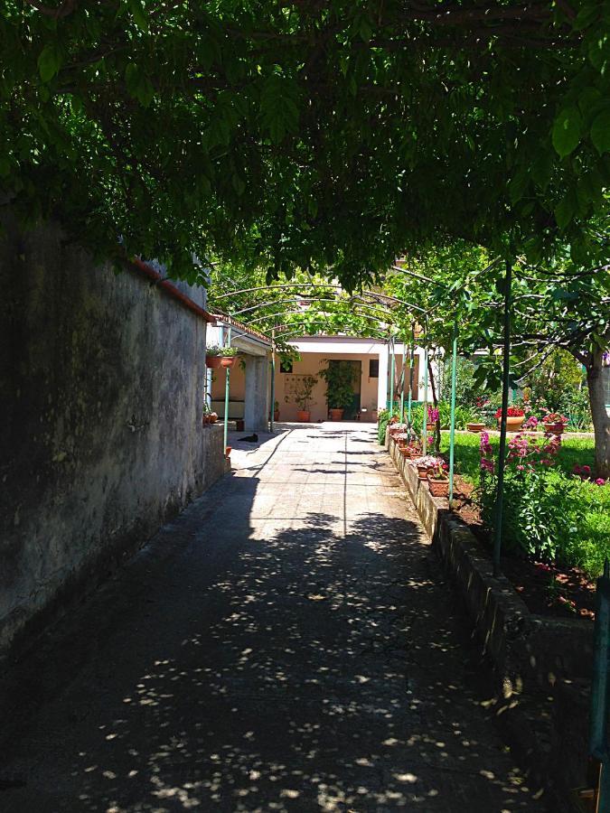 Ferienwohnung App Milija Rovinj Exterior foto